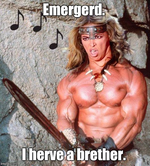 Beyonce | Emergerd. I herve a brether. | image tagged in beyonce | made w/ Imgflip meme maker