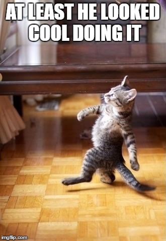 Cool Cat Stroll | AT LEAST HE LOOKED COOL DOING IT | image tagged in memes,cool cat stroll | made w/ Imgflip meme maker