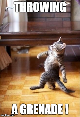 Cool Cat Stroll Meme | THROWING; A GRENADE ! | image tagged in memes,cool cat stroll | made w/ Imgflip meme maker