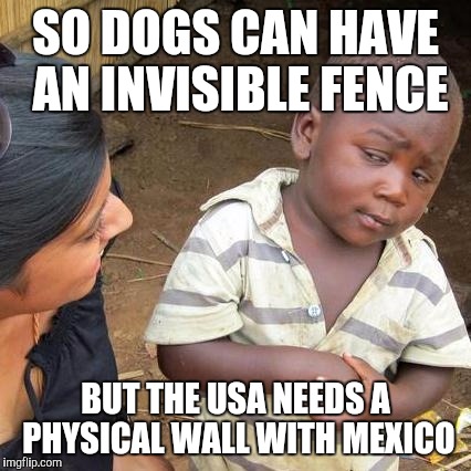 Third World Skeptical Kid | SO DOGS CAN HAVE AN INVISIBLE FENCE; BUT THE USA NEEDS A PHYSICAL WALL WITH MEXICO | image tagged in memes,third world skeptical kid | made w/ Imgflip meme maker