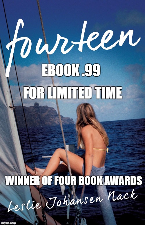 EBOOK .99; FOR LIMITED TIME; WINNER OF FOUR BOOK AWARDS | image tagged in no subtitle | made w/ Imgflip meme maker