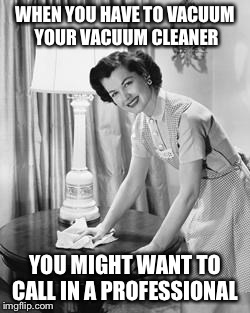 Ducking hate cleaning  | WHEN YOU HAVE TO VACUUM YOUR VACUUM CLEANER; YOU MIGHT WANT TO CALL IN A PROFESSIONAL | image tagged in ducking hate cleaning | made w/ Imgflip meme maker