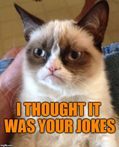 Grumpy Cat Meme | I THOUGHT IT WAS YOUR JOKES | image tagged in memes,grumpy cat | made w/ Imgflip meme maker