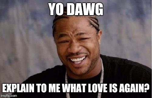 Yo Dawg Heard You Meme | YO DAWG; EXPLAIN TO ME WHAT LOVE IS AGAIN? | image tagged in memes,yo dawg heard you | made w/ Imgflip meme maker