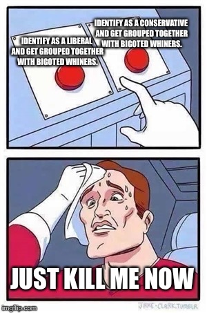 Two parties, one choice, no good answer | IDENTIFY AS A CONSERVATIVE AND GET GROUPED TOGETHER WITH BIGOTED WHINERS. IDENTIFY AS A LIBERAL AND GET GROUPED TOGETHER WITH BIGOTED WHINERS. JUST KILL ME NOW | image tagged in two buttons,liberals,conservatives,liberal vs conservative | made w/ Imgflip meme maker