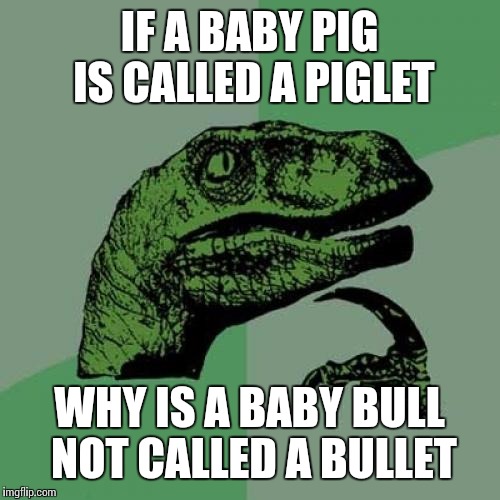 Philosoraptor Meme | IF A BABY PIG IS CALLED A PIGLET; WHY IS A BABY BULL NOT CALLED A BULLET | image tagged in memes,philosoraptor | made w/ Imgflip meme maker