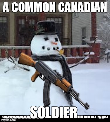 Canadians rule | A COMMON CANADIAN; SOLDIER | image tagged in memes | made w/ Imgflip meme maker
