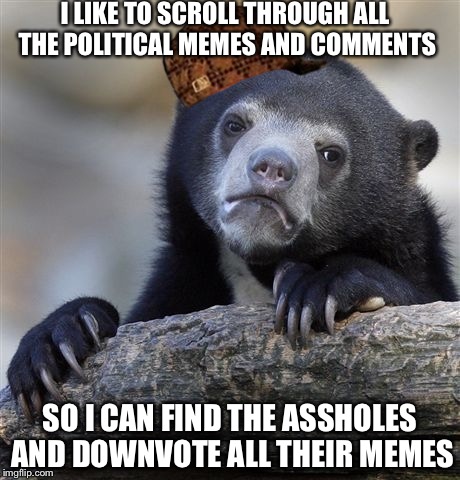 Confession Bear | I LIKE TO SCROLL THROUGH ALL THE POLITICAL MEMES AND COMMENTS; SO I CAN FIND THE ASSHOLES AND DOWNVOTE ALL THEIR MEMES | image tagged in memes,confession bear,scumbag | made w/ Imgflip meme maker