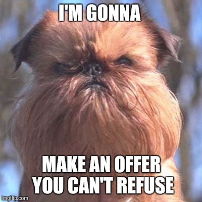 Dogfather | I'M GONNA; MAKE AN OFFER YOU CAN'T REFUSE | image tagged in dog week,dogs | made w/ Imgflip meme maker