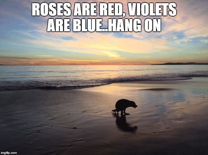 roses are red | ROSES ARE RED, VIOLETS ARE BLUE..HANG ON | image tagged in dog | made w/ Imgflip meme maker