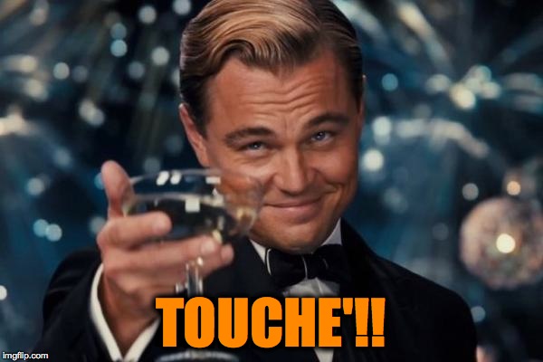 Leonardo Dicaprio Cheers Meme | TOUCHE'!! | image tagged in memes,leonardo dicaprio cheers | made w/ Imgflip meme maker