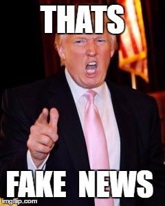 Donald Trump | THATS; FAKE  NEWS | image tagged in donald trump | made w/ Imgflip meme maker