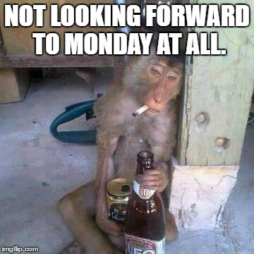 Drunken Ass monkey | NOT LOOKING FORWARD TO MONDAY AT ALL. | image tagged in drunken ass monkey | made w/ Imgflip meme maker