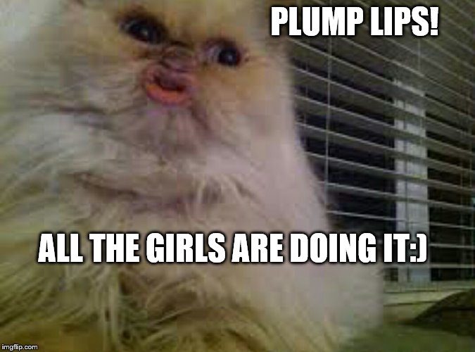 Plump Lips | PLUMP LIPS! ALL THE GIRLS ARE DOING IT:) | image tagged in cat meme | made w/ Imgflip meme maker