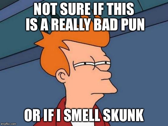 Futurama Fry Meme | NOT SURE IF THIS IS A REALLY BAD PUN OR IF I SMELL SKUNK | image tagged in memes,futurama fry | made w/ Imgflip meme maker