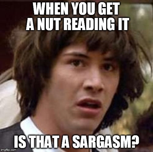 Conspiracy Keanu Meme | WHEN YOU GET A NUT READING IT IS THAT A SARGASM? | image tagged in memes,conspiracy keanu | made w/ Imgflip meme maker
