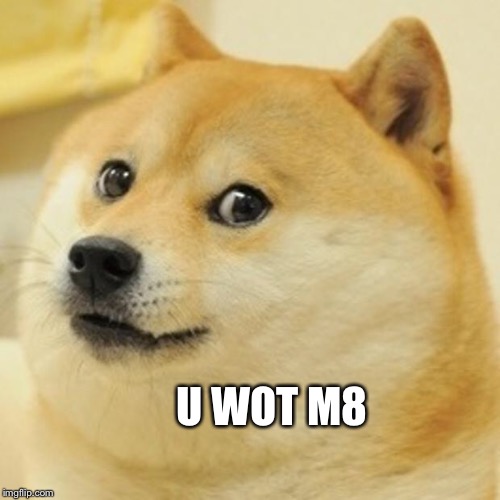 U WOT M8 | image tagged in memes,doge | made w/ Imgflip meme maker