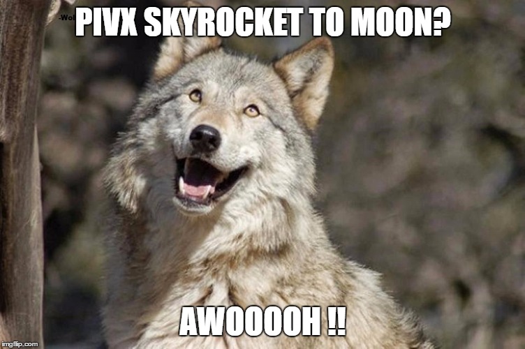 Optimistic Moon Moon Wolf Vanadium Wolf | PIVX SKYROCKET TO MOON? AWOOOOH !! | image tagged in optimistic moon moon wolf vanadium wolf | made w/ Imgflip meme maker