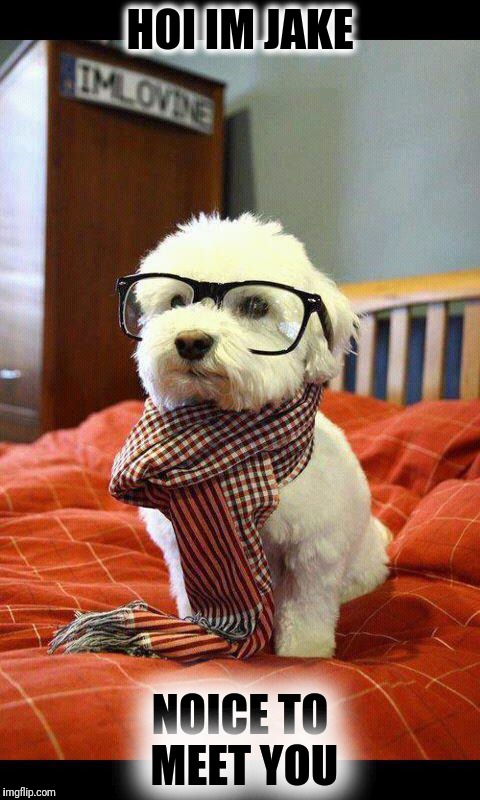 Intelligent Dog | HOI IM JAKE; NOICE TO MEET YOU | image tagged in memes,intelligent dog | made w/ Imgflip meme maker