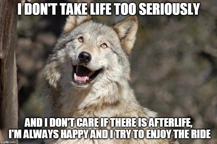 Optimistic Moon Moon Wolf Vanadium Wolf | I DON'T TAKE LIFE TOO SERIOUSLY; AND I DON'T CARE IF THERE IS AFTERLIFE, I'M ALWAYS HAPPY AND I TRY TO ENJOY THE RIDE | image tagged in optimistic moon moon wolf vanadium wolf | made w/ Imgflip meme maker