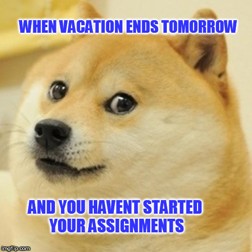 Doge Meme | WHEN VACATION ENDS TOMORROW; AND YOU HAVENT STARTED YOUR ASSIGNMENTS | image tagged in memes,doge | made w/ Imgflip meme maker