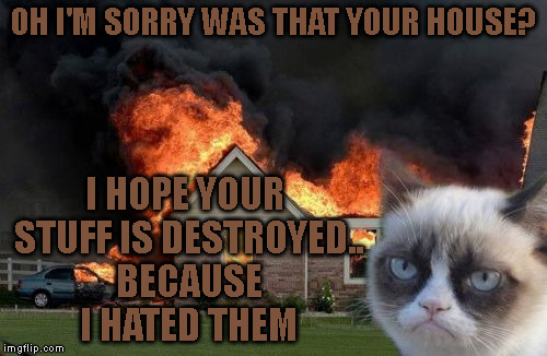 Disaster Cat | OH I'M SORRY WAS THAT YOUR HOUSE? I HOPE YOUR STUFF IS DESTROYED.. BECAUSE I HATED THEM | image tagged in memes,burn kitty,grumpy cat | made w/ Imgflip meme maker