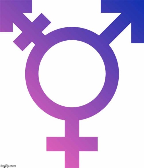 male or female names | image tagged in name gender,name gender database,unisex names | made w/ Imgflip meme maker