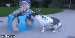 1nc6c1 Revenge of the Easter Bunny! @
