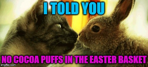Fluffy finds the Easter bunny | I TOLD YOU; NO COCOA PUFFS IN THE EASTER BASKET | image tagged in easter,memes | made w/ Imgflip meme maker