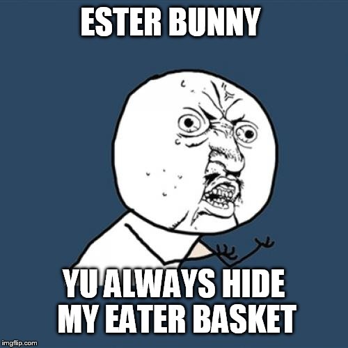 Y U No | ESTER BUNNY; YU ALWAYS HIDE MY EATER BASKET | image tagged in memes,y u no | made w/ Imgflip meme maker