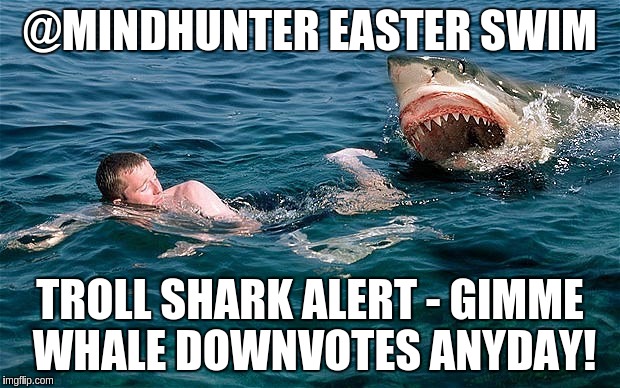 Swimming with sharks | @MINDHUNTER EASTER SWIM; TROLL SHARK ALERT - GIMME WHALE DOWNVOTES ANYDAY! | image tagged in swimming with sharks | made w/ Imgflip meme maker