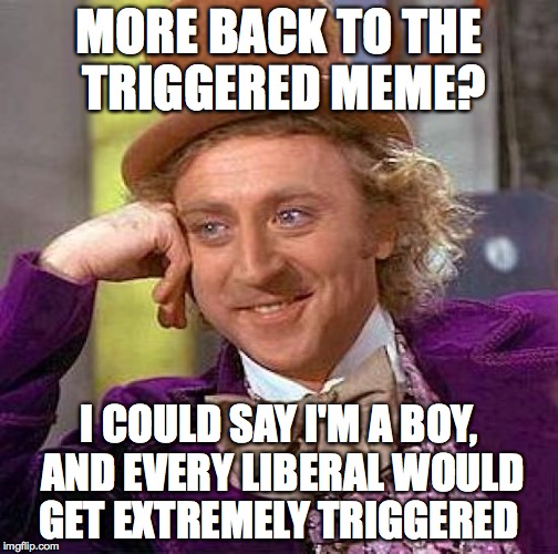 the triggered, is my favorite meme right now | MORE BACK TO THE TRIGGERED MEME? I COULD SAY I'M A BOY, AND EVERY LIBERAL WOULD GET EXTREMELY TRIGGERED | image tagged in memes,creepy condescending wonka | made w/ Imgflip meme maker