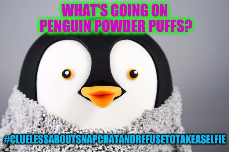 Snapchat virgin. Penguin  | image tagged in memes,snapchat,penguin,funny,hashtag,friends | made w/ Imgflip meme maker