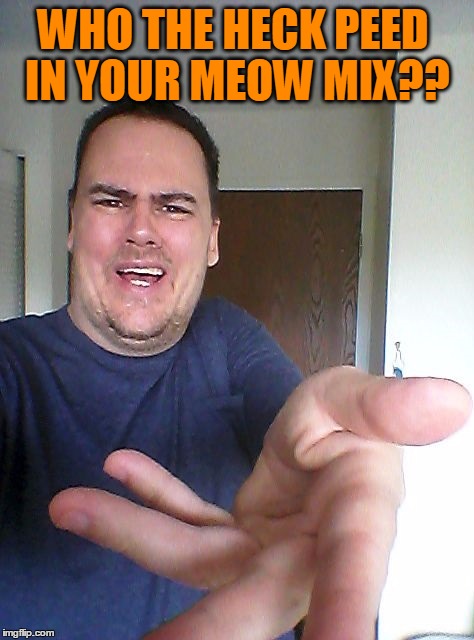wow! | WHO THE HECK PEED IN YOUR MEOW MIX?? | image tagged in wow | made w/ Imgflip meme maker
