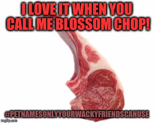 Blossom chop | I LOVE IT WHEN YOU CALL ME BLOSSOM CHOP! #PETNAMESONLYYOURWACKYFRIENDSCANUSE | image tagged in memes,funny,chop,wacky,friends,love | made w/ Imgflip meme maker