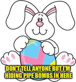 DON'T TELL ANYONE BUT I'M HIDING PIPE BOMBS IN HERE | made w/ Imgflip meme maker
