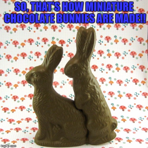 Happy Easter Y'all!  | SO, THAT'S HOW MINIATURE CHOCOLATE BUNNIES ARE MADE!! | image tagged in lynch1979,memes,lol,easter bunny | made w/ Imgflip meme maker