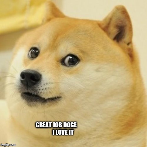 Doge Meme | GREAT JOB DOGE 
           I LOVE IT | image tagged in memes,doge | made w/ Imgflip meme maker