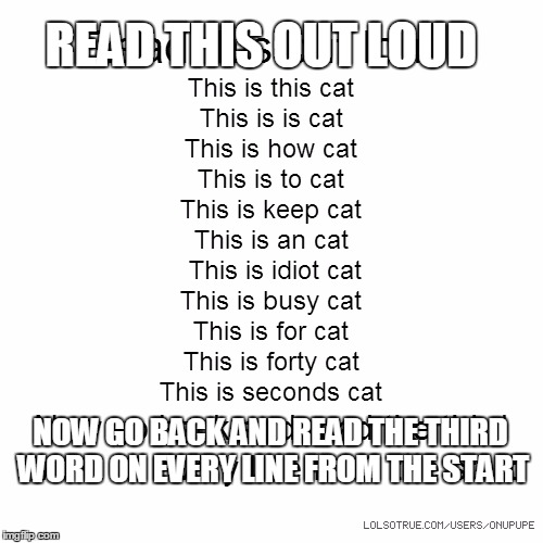 read this out loud | READ THIS OUT LOUD; NOW GO BACK AND READ THE THIRD WORD ON EVERY LINE FROM THE START | image tagged in idiot,meme,cat,funny | made w/ Imgflip meme maker