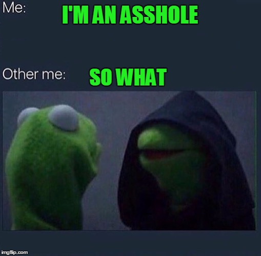 so we're in agreement. | I'M AN ASSHOLE; SO WHAT | image tagged in evil kermit | made w/ Imgflip meme maker