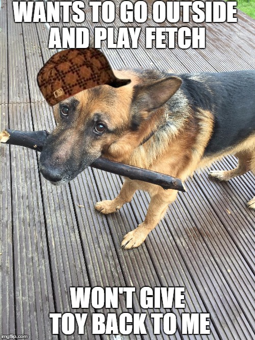 WANTS TO GO OUTSIDE AND PLAY FETCH; WON'T GIVE TOY BACK TO ME | made w/ Imgflip meme maker