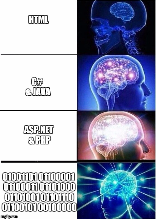 How to program | HTML; C# & JAVA; ASP.NET & PHP; 01001101 01100001 01100011 01101000 01101001 01101110 01100101 00100000 | image tagged in expanding brain | made w/ Imgflip meme maker