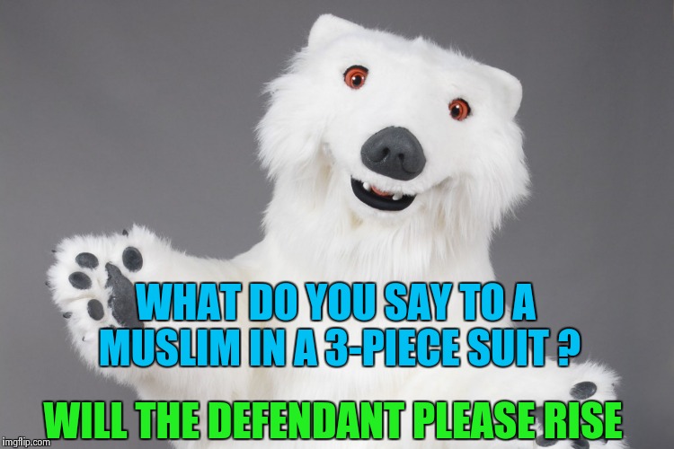 Polar Bear | WHAT DO YOU SAY TO A MUSLIM IN A 3-PIECE SUIT ? WILL THE DEFENDANT PLEASE RISE | image tagged in polar bear | made w/ Imgflip meme maker