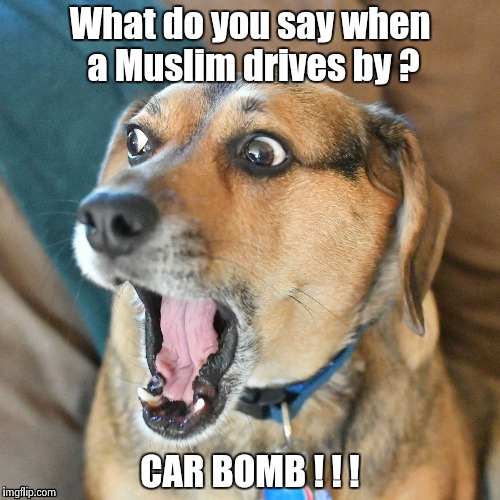 What do you say when a Muslim drives by ? CAR BOMB ! ! ! | image tagged in shocked dog | made w/ Imgflip meme maker