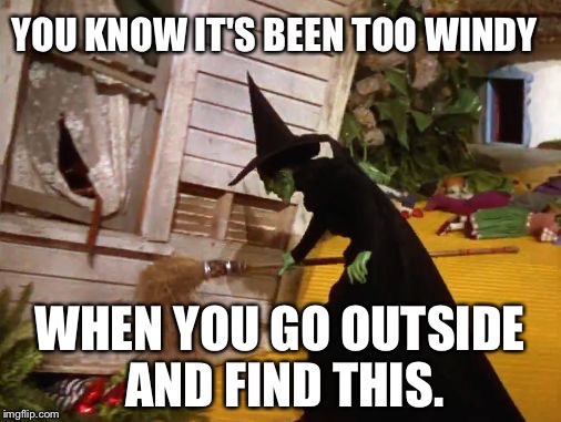 Too windy lately | YOU KNOW IT'S BEEN TOO WINDY; WHEN YOU GO OUTSIDE AND FIND THIS. | image tagged in windy day | made w/ Imgflip meme maker