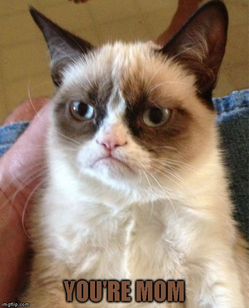 Grumpy Cat Meme | YOU'RE MOM | image tagged in memes,grumpy cat | made w/ Imgflip meme maker