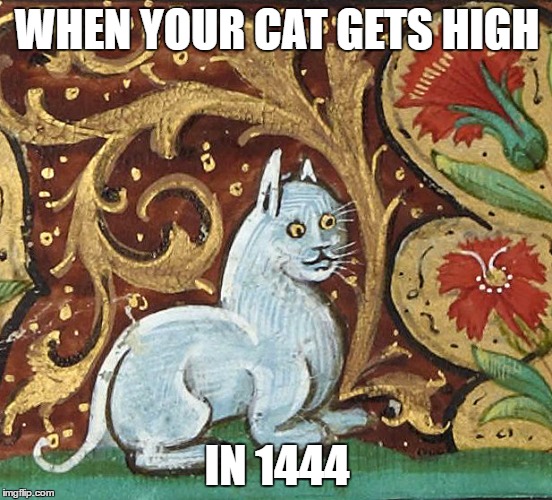 WHEN YOUR CAT GETS HIGH; IN 1444 | image tagged in seen shit medieval cat | made w/ Imgflip meme maker