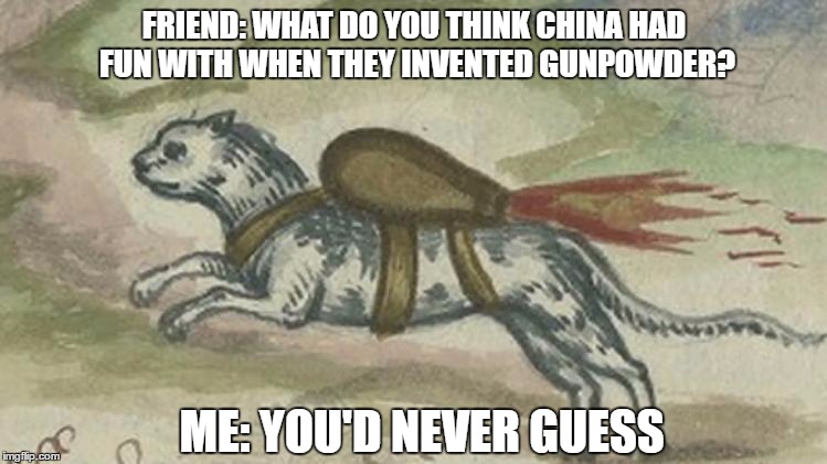 Chinese Gunpowder | FRIEND: WHAT DO YOU THINK CHINA HAD FUN WITH WHEN THEY INVENTED GUNPOWDER? ME: YOU'D NEVER GUESS | image tagged in rocket cat 2 | made w/ Imgflip meme maker