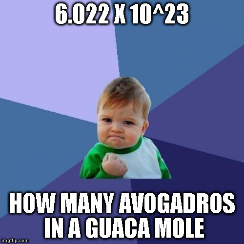 Success Kid Meme | 6.022 X 10^23; HOW MANY AVOGADROS IN A GUACA MOLE | image tagged in memes,success kid | made w/ Imgflip meme maker