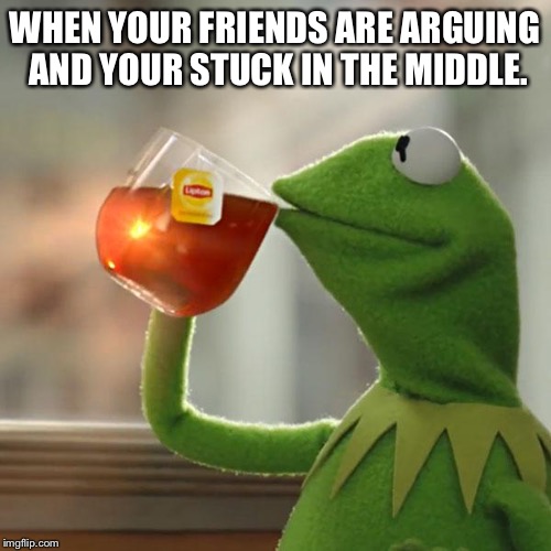 But That's None Of My Business Meme | WHEN YOUR FRIENDS ARE ARGUING AND YOUR STUCK IN THE MIDDLE. | image tagged in memes,but thats none of my business,kermit the frog | made w/ Imgflip meme maker